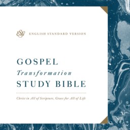 Book Review: ESV Gospel Transformation Study Bible