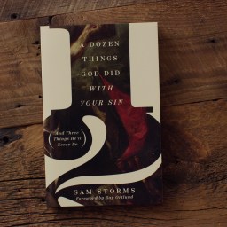 A Dozen Things God Has Done With Your Sin