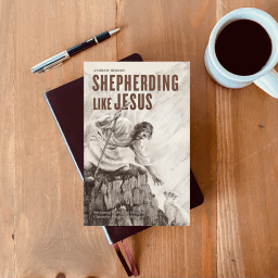 Shepherding Like The Good Shepherd