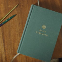 Daily Strength and Daily Joy: Devotions For Men and Women