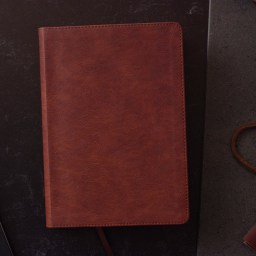 ESV Men’s Study Bible