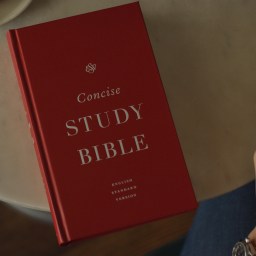 Book Review: ESV Concise Study Bible