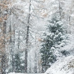 Snow Declares the Glory of God
