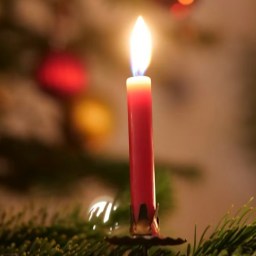 Love: A Meditation for the Fourth Week of Advent