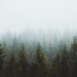 Seeking Rhythms of Silence: Weekly or Monthly