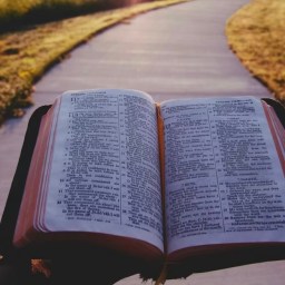 Seek First The Kingdom